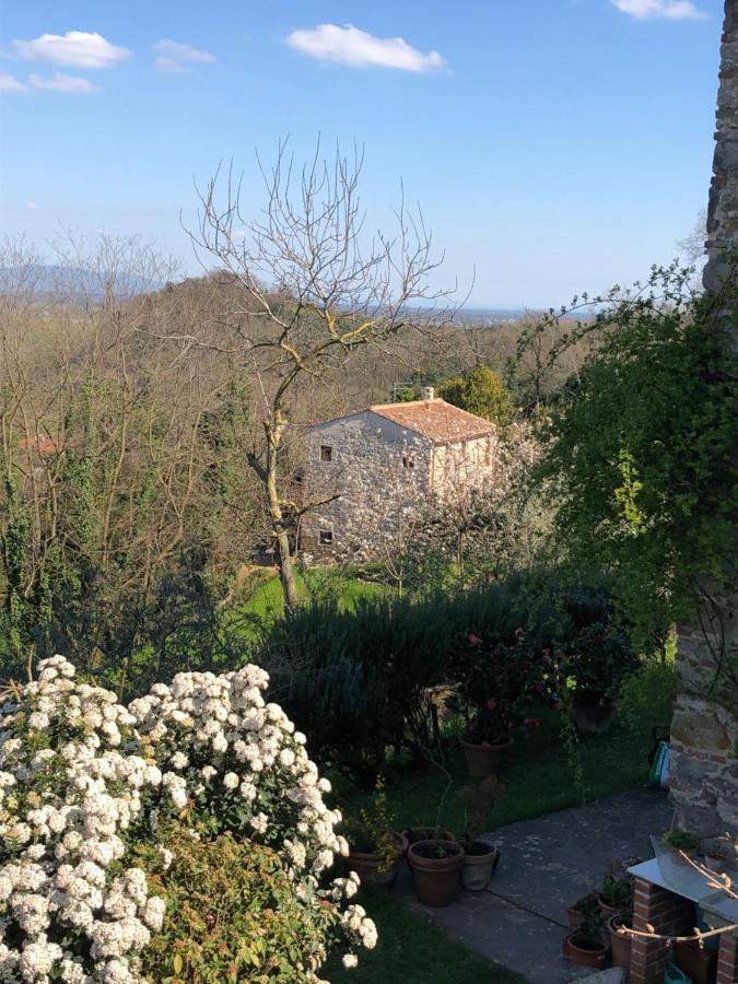 Dolce Vita In Tuscany B&B Capannori Dış mekan fotoğraf