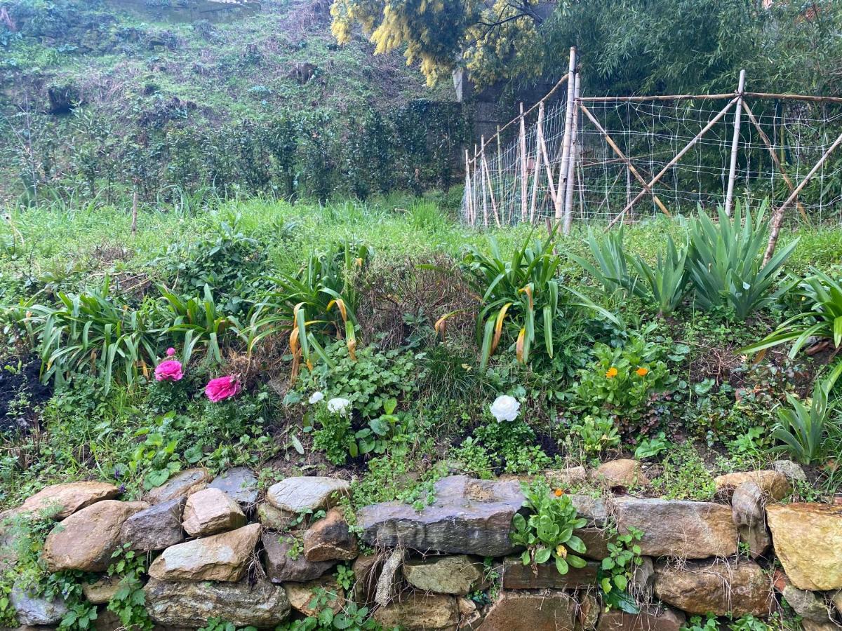 Dolce Vita In Tuscany B&B Capannori Dış mekan fotoğraf