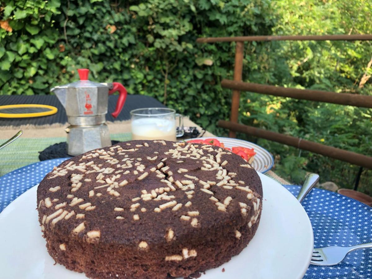 Dolce Vita In Tuscany B&B Capannori Dış mekan fotoğraf